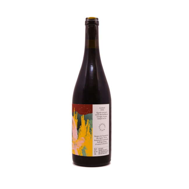 Gamay AOC 2024